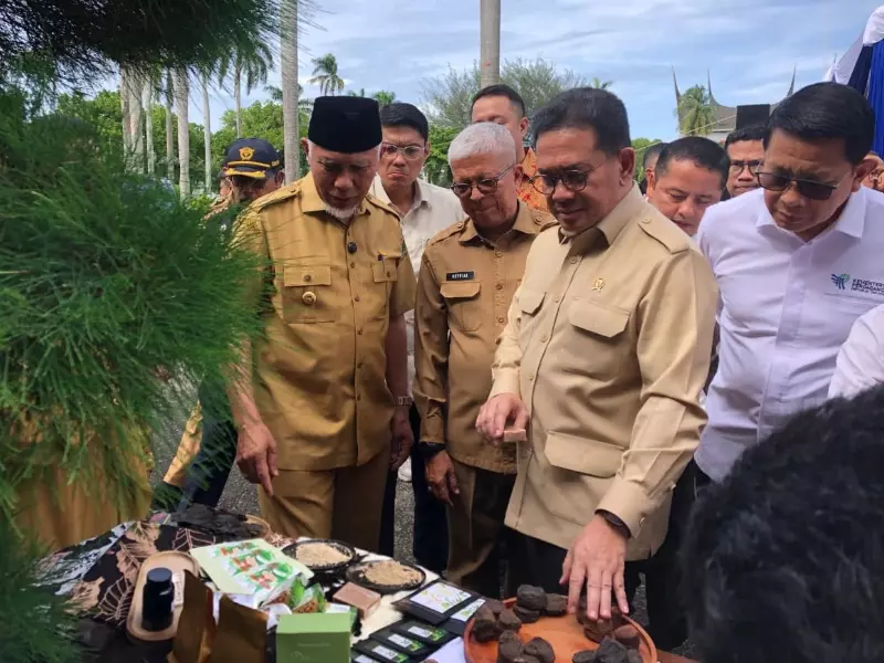 27 Ton Gambir Sumbar Diekspor ke India 27 Ton Gambir Sumbar Diekspor ke India