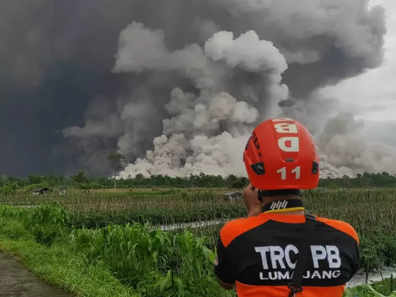 Status Gunung Semeru Naik Jadi Awas, BNPB Siapkan Langkah Antisipasi Status Gunung Semeru Naik Jadi Awas, BNPB Siapkan Langkah Antisipasi