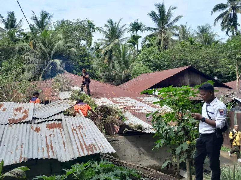 Pohon Tumbang Timpa Rumah Warga di Koto Lalang Pohon Tumbang Timpa Rumah Warga di Koto Lalang