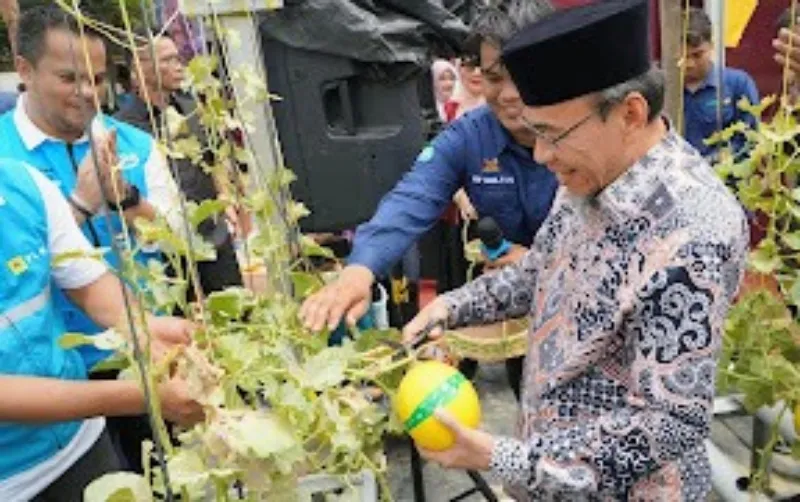 Petani Milenial Padang Bikin Kebun Melon Hidroponik, Dapat Dukungan Penuh dari PLN!